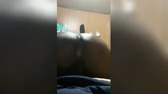 Bussy boned