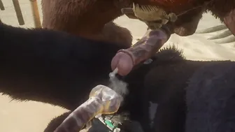 Minotaur Ejaculates GIGANTIC Load In Wolf Male (Homosexual Mating) | Wild Life Furry