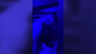 Plowed until orgasm