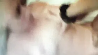 Cutie blonde cougar gets boned inside the butt with a strap on while swallowing cum