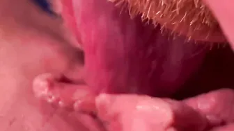 Fpov Cunnilingus and Cunt Licking until She Jizzes Multiple Times