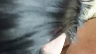 LETS SUCK MY ROUGH PENIS DARK HAIR WHITE BIMBO BLOWN FOR CASH