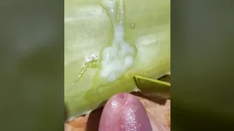 How to masturbate the cock with aloe vera lube gel and ejaculate a lot of sperm - pov tutorial