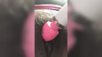 Dildos for life