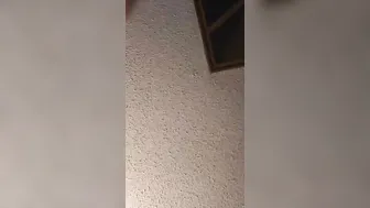 Wifey caught fucking husbands best friend *audio only*