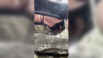 Soak into the woods