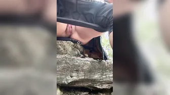 Soak into the woods