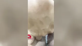 Incredible women masturbates until cumming