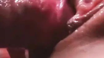 Close Up Punani HOW WOULD YOU BANGED ME?