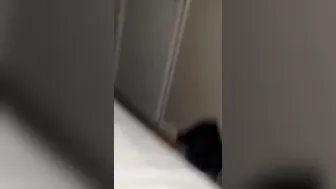cougar riding daddy’s fat dick