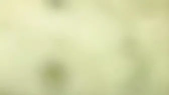 teens añitos y aun no se acostumbra al anal