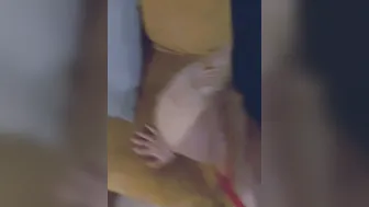 female dog drinks her bosss sperm