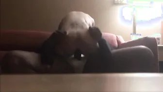 Cheating squirting wifey rides bbc interracial
