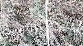 Amateur Compilation Rough Screwed