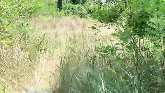 Real Outdoors Sex on the River Bank after Swimming (point of view)
