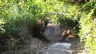 nippleringlover turned on MILF outdoor flashing pierced hooters pierced vagina Goddess