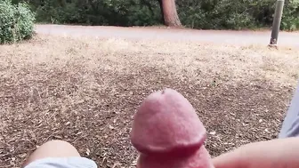 Flashing my cock into front of a young chick into