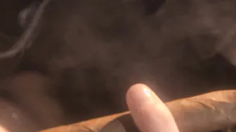 Glamorous Blonde Kylee Reese Smokes a Cigar Then She Takes a Break to Blow Waite