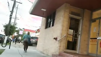 Creep Shots black with lots of cheeks hanging out into