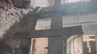 A mysterious abandoned building lured a young dude and satisfied