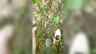 Inside the wood