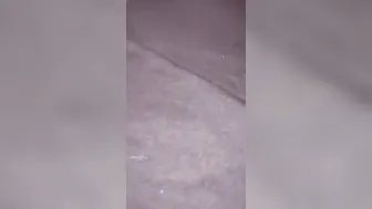 Ci scopiamo la sconosciuta del bosco parte2