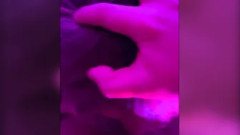 BADDIE BLOWS PENIS SO SLOPPY GET HER WIG FALLING OFF