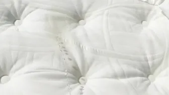 Pee on the Hotel Mattress Compilation
