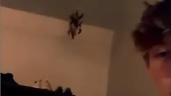Parents next room