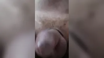 Chubby homosexual riding his favorite dildo rough and groaning for satisfaction
