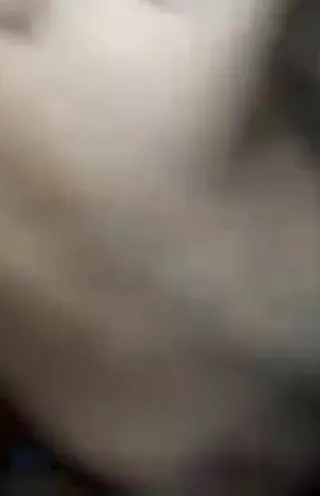Bakloputi