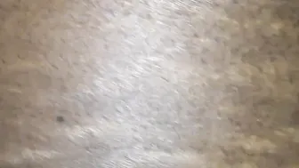 My Step Sister Love anal