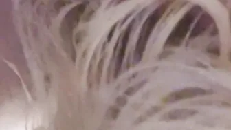 Milf mom loves gets banged and blowing penis