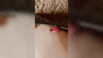 GIANTESS shrinks and slides her next door inside her shoe