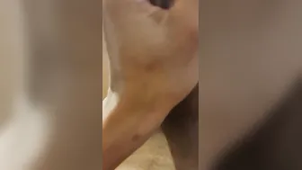 Gigantic load Cummins
