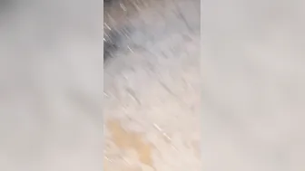 Drenched in Desire