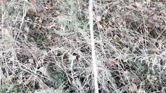 Amateur Compilation Rough Screwed