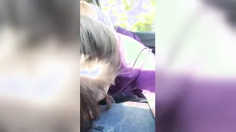 RavenJane loves sucking off cock into the vehicle