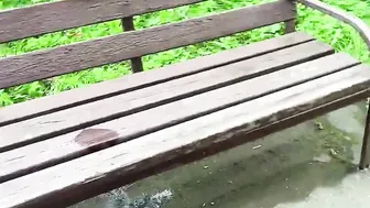 PISSING COMPILATION. PEE INSIDE OUTDOOR having fun. Peeing Public.