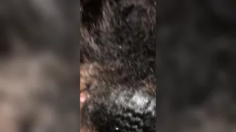 Pregnant Cum Swallowing African Thot