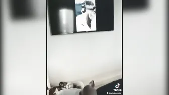 compilation tiktok one