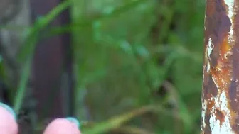 Beauty bare foot and nylon soles – public close-ups