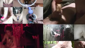 Willamina Giddons Compilation A Little bit of everything