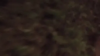 DEVIANTE - Easter Bunny cunt with mouth Boned by a Preacher with