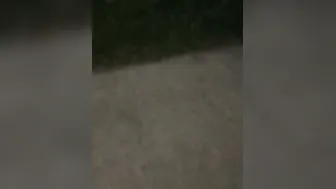 Someone pulled into at the park we was at