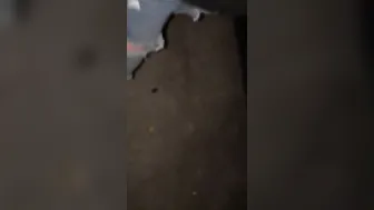 Someone pulled into at the park we was at