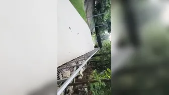 I Love Fucking Strangers Into The Park