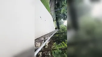 I Love Fucking Strangers Into The Park