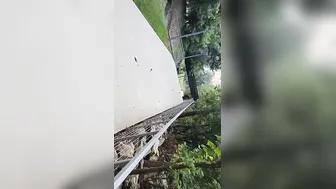 I Love Fucking Strangers Into The Park