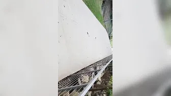 I Love Fucking Strangers Into The Park
